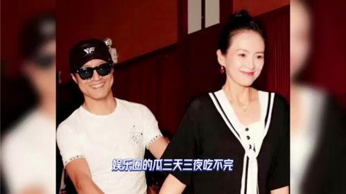 娱乐圈最新爆料离婚,明星夫妻宣布离婚，真相揭秘！